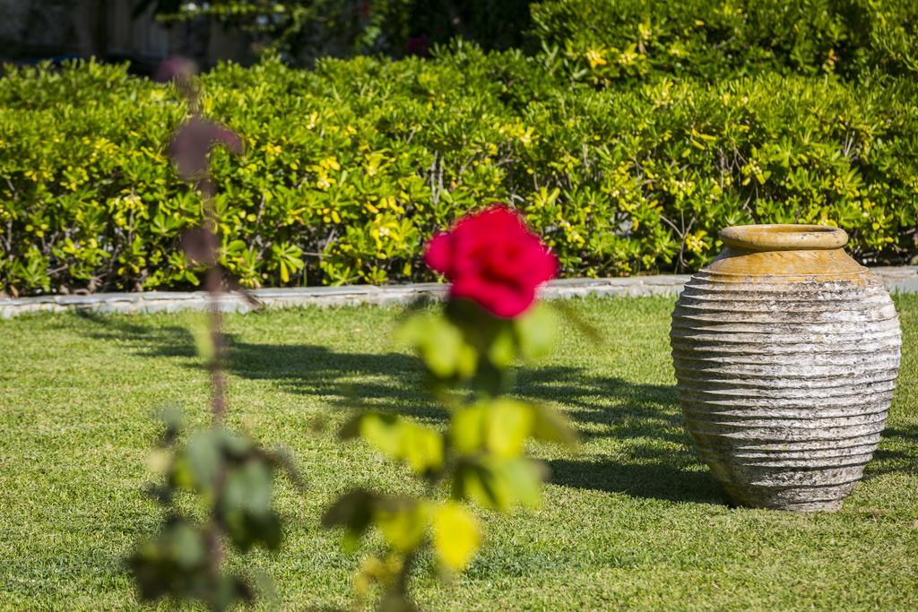 Olive Grove Studios & Apartments Свороната Екстериор снимка